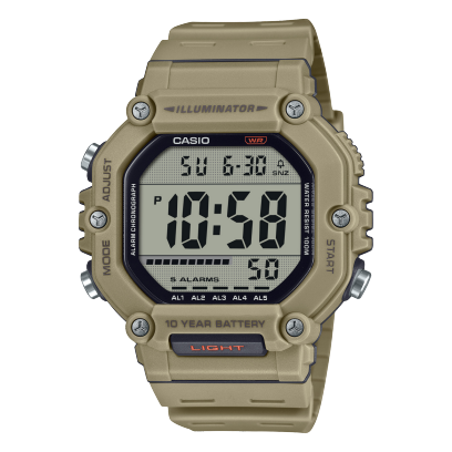 Casio Standard  Collection Mens 100m - AE-1600H-5AVDF